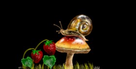 Drawing of Snail by Eclat de Lune