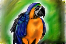 Jan の オウム の絵