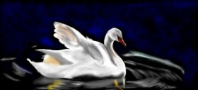 Çhåching の 白鳥 の絵