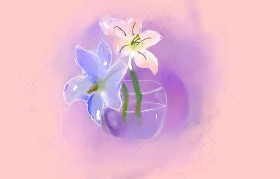 Drawing of Lily flower by why!?