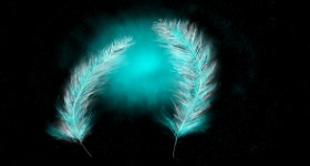 Eclat de Lune の 羽毛 の絵