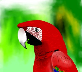 Joze の オウム の絵