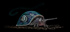 Drawing of Snail by Çhåching