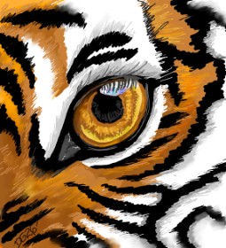 Drawing of Tiger by GreyhoundMama