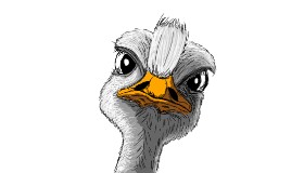 Chartos の ダチョウ の絵