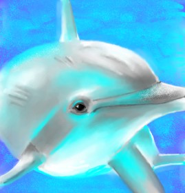 ⋆su⋆vinci彡 の イルカ の絵