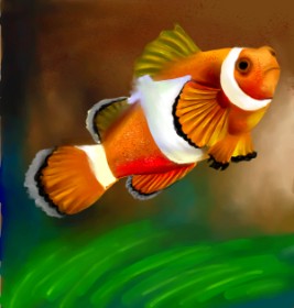 Рисунок на тему «Clownfish» — автор: SWIZIE