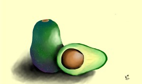 No stylus used の アボカド の絵