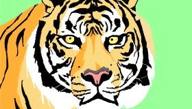 Sam の トラ の絵
