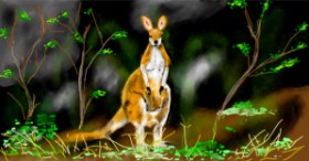 Eclat de Lune の カンガルー の絵
