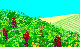 Trauben-Zeichnung von Flowerpot