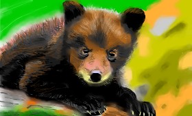 Herbert の クマ の絵