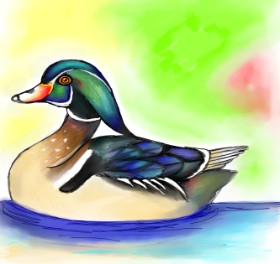 Bishakha の アヒル の絵