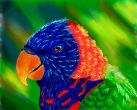 Bri の オウム の絵