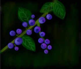 Рисунок на тему «Черника» — автор: Chewishou