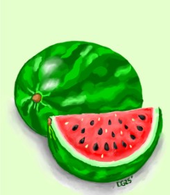 Drawing of Watermelon by GreyhoundMama