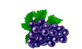 Drawing of Grapes by Humo de copal