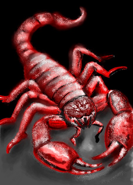 昔描いたサソリの絵 a81e8dcc_scorpion.jpeg?width=1200