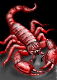 Skorpion-Zeichnung von ⋆su⋆vinci彡