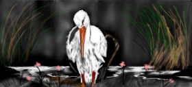 Drawing of Stork by Çhåching
