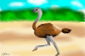 Drawing of Ostrich by Kiu