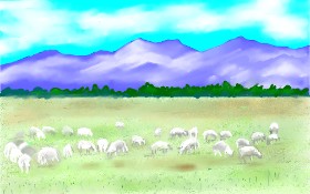 Drawing of Sheep by GJP