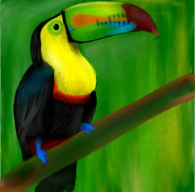 Lou の オオハシ の絵