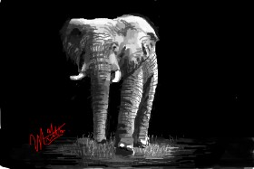 Slon - autor: MooMel