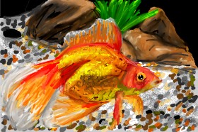 Mia の 金魚 の絵