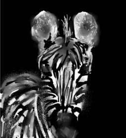 Zebra-Zeichnung von Eclat de Lune