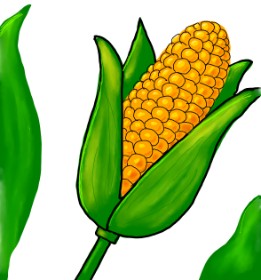 MEL の トウモロコシ の絵