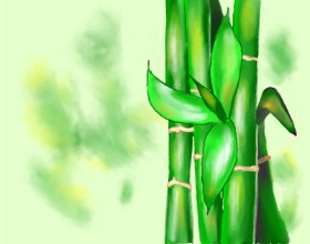 Cec の 竹 の絵