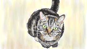 Sam の 猫 の絵