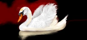 Drawing of Swan by justme❤️