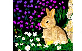 Drawing of Bunny by GJP