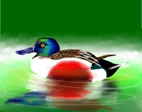 Tokyo の アヒル の絵