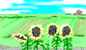 Рисунок на тему «Подсолнечник» — автор: Flowerpot