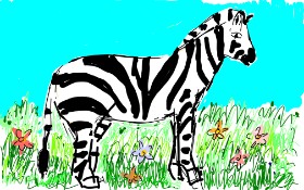 Zebra-Zeichnung von Lsk