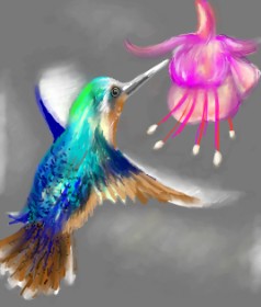 ⋆su⋆vinci彡 の ハチドリ の絵