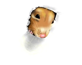 Cec の ハムスター の絵