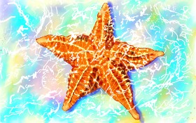 GJP の ヒトデ の絵