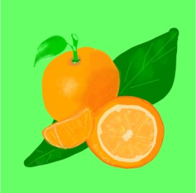 MaRi の オレンジ の絵