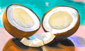DrawSomething の ココナッツ の絵