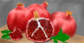 Drawing of Pomegranate by Ana