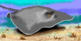 Рисунок на тему «Скат» — автор: SAM AKA MARGARET 🙄