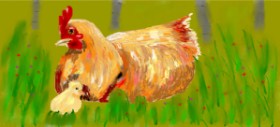 Drawing of Chicken by Magic Mushroom