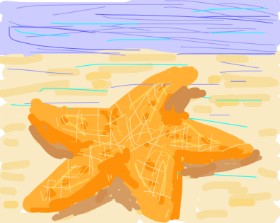 Firsttry の ヒトデ の絵