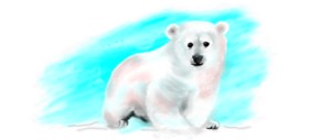 Debidolittle の ホッキョクグマ の絵
