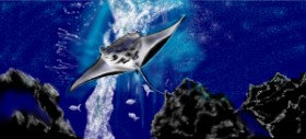 Drawing of Stingray by Çhåching