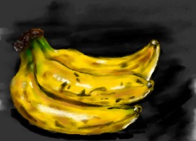 SULJA ROCK の バナナ の絵